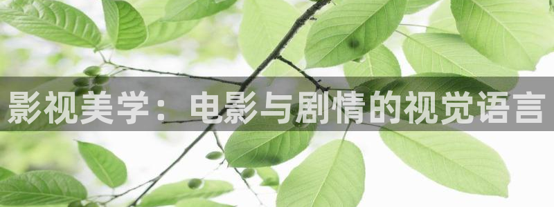 超碰978在线：影视美学：电影与剧情的视觉语言