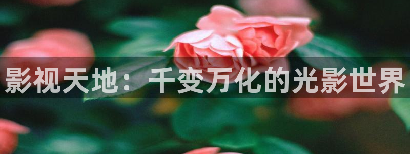 超碰在线玩少妇：影视天地：千变万化的光影世界