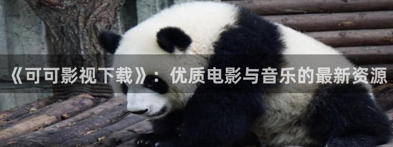 超碰不卡：《可可影视下载》：优质电影与音乐的最新资源