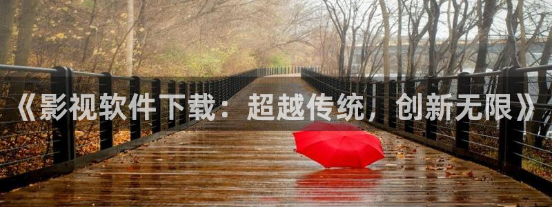 超碰在线观看中文：《影视软件下载：超越传统，创新无限》