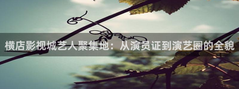 超碰手机免费在线：横店影视城艺人聚集地：从演员证到演艺圈的全貌