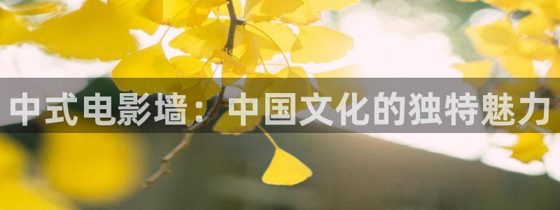 cao超碰进入：中式电影墙：中国文化的独特魅力